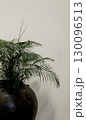 Organic photo real image palm potted plant tree interior white wall neutral background aesthetics Organic photo real image palm potted plant tree interior white wall neutral background aesthetics 130096513