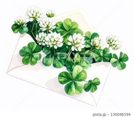 クラシックなシロツメクサ クラシックなシロツメクサ 130096594