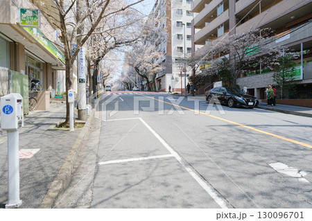 川崎市 鷺沼の桜並木、春待坂 130096701