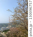 春景色 130096757