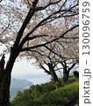 桜 130096759