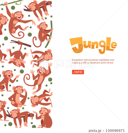 Monkey. cute animals in action poses monkeys from jungle. vector background 130096971
