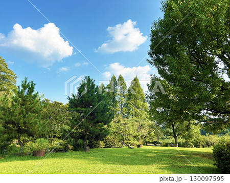 青空と緑の広がる公園 130097595