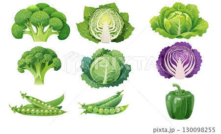 新鮮な野菜のイラスト 新鮮な野菜のイラスト 130098255