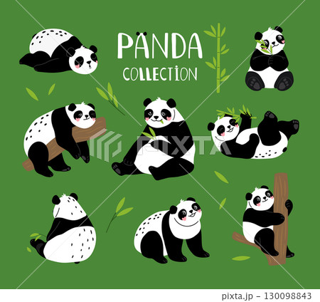 Panda baby bear with bamboo vector collection Panda baby bear with bamboo vector collection 130098843