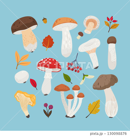 Cute cartoon edible mushrooms set. Autumn forest mushrooms isolated vector collection Cute cartoon edible mushrooms set. Autumn forest mushrooms isolated vector collection 130098876