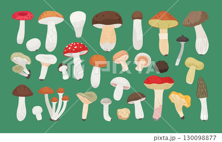Collection of forest edible mushrooms. Cute set of varous colorful autumn oyster, truffle, porcini 130098877