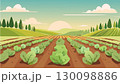 レタスが植えられた広大な畑の風景 130098886