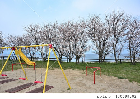 西海岸公園の桜（新潟県） 130099302