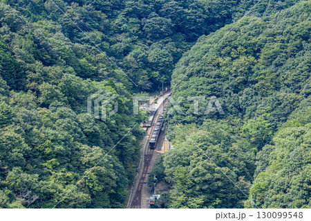 四国の秘境駅　JR坪尻駅 130099548