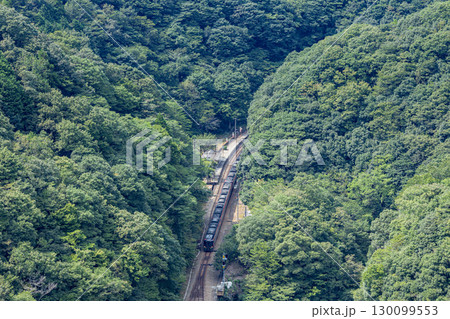 四国の秘境駅 JR坪尻駅 四国の秘境駅 JR坪尻駅 130099553