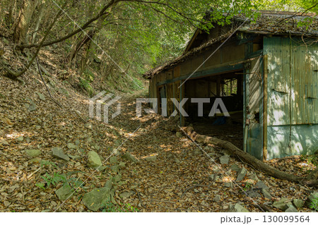 四国の秘境駅 JR坪尻駅 四国の秘境駅 JR坪尻駅 130099564