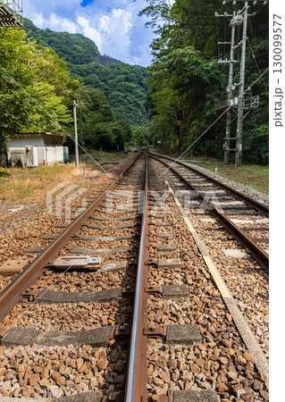 四国の秘境駅　JR坪尻駅 130099577