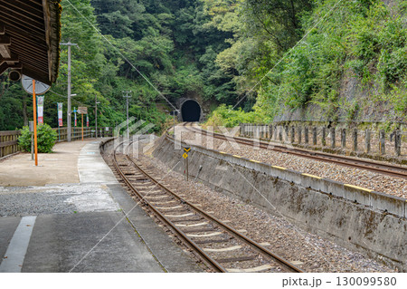 四国の秘境駅　JR坪尻駅 130099580