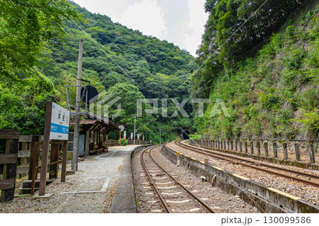 四国の秘境駅　JR坪尻駅 130099586