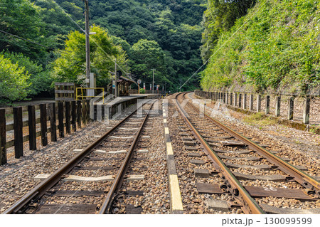 四国の秘境駅 JR坪尻駅 四国の秘境駅 JR坪尻駅 130099599