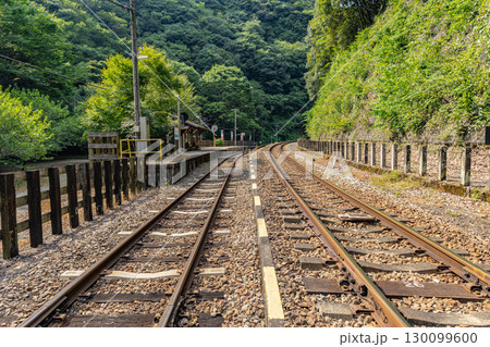 四国の秘境駅　JR坪尻駅 130099600