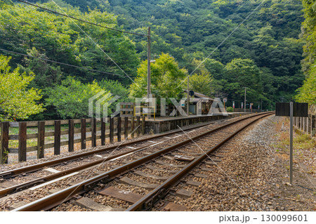 四国の秘境駅　JR坪尻駅 130099601