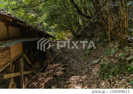 四国の秘境駅　JR坪尻駅 130099621