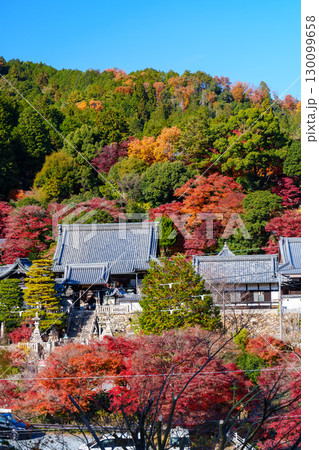 紅葉に包まれる秋の楊谷寺 130099658