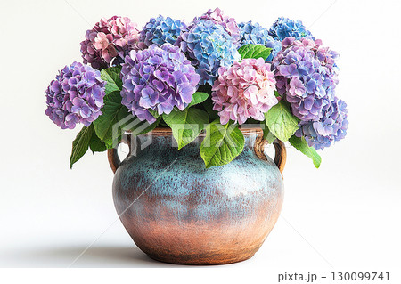 Ceramic vase in antique style with big Hydrangea bush grows on a white background. Ceramic vase in antique style with big Hydrangea bush grows on a white background. 130099741