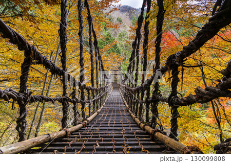 奥祖谷二重かずら橋 　 秘境に佇む夫婦橋 130099808