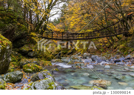奥祖谷二重かずら橋 秘境に佇む夫婦橋 奥祖谷二重かずら橋 秘境に佇む夫婦橋 130099814