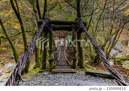 奥祖谷二重かずら橋 　 秘境に佇む夫婦橋 130099818