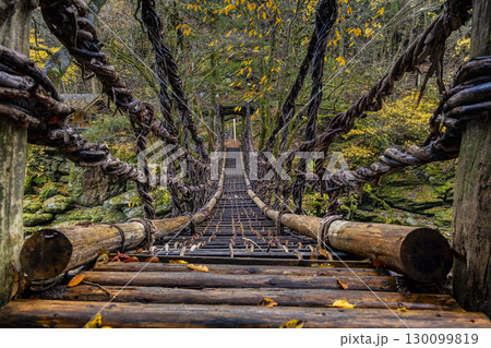 奥祖谷二重かずら橋 　 秘境に佇む夫婦橋 130099819