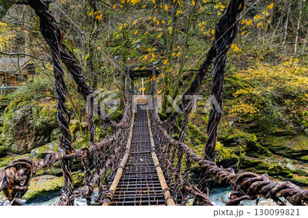 奥祖谷二重かずら橋 　 秘境に佇む夫婦橋 130099821