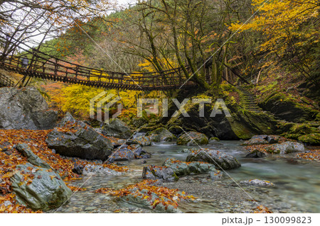 奥祖谷二重かずら橋 秘境に佇む夫婦橋 奥祖谷二重かずら橋 秘境に佇む夫婦橋 130099823