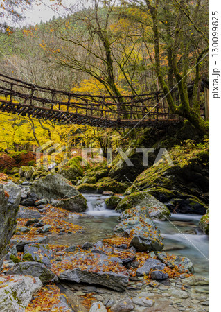 奥祖谷二重かずら橋   秘境に佇む夫婦橋 奥祖谷二重かずら橋   秘境に佇む夫婦橋 130099825