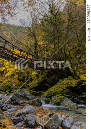 奥祖谷二重かずら橋 秘境に佇む夫婦橋 奥祖谷二重かずら橋 秘境に佇む夫婦橋 130099827