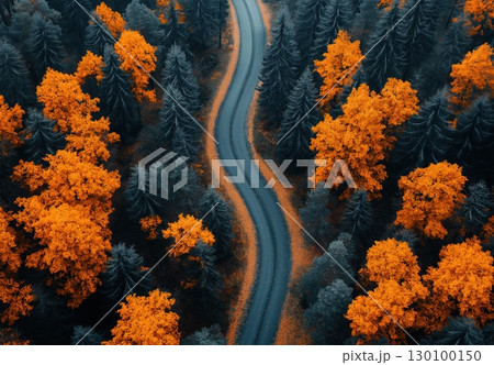 Aerial view of a road through an autumn forest. Aerial view of a road through an autumn forest. 130100150