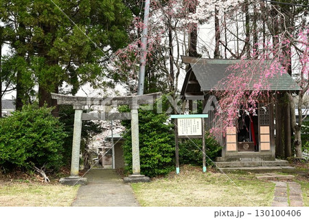 居多神社(新潟県) 居多神社(新潟県) 130100406