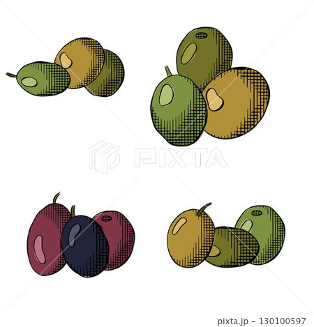 Olive tree berry composition set colored. Vector graphic line ink illustration. Fresh Greek berries. Italian oil vegetables, oliva. Use for cosmetic package, shop, spa salon, wellness program, skin. Olive tree berry composition set colored. Vector graphic line ink illustration. Fresh Greek berries. Italian oil vegetables, oliva. Use for cosmetic package, shop, spa salon, wellness program, skin. 130100597