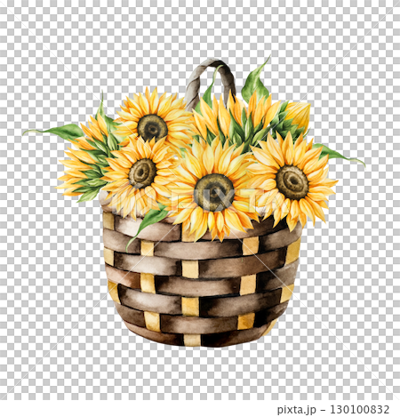 Watercolor wicker basket with bright yellow sunflowers in warm autumn tones. Botanical hand drawn illustration isolated on background. Ideal for seasonal, halloween, forest, or nature-themed designs Watercolor wicker basket with bright yellow sunflowers in warm autumn tones. Botanical hand drawn illustration isolated on background. Ideal for seasonal, halloween, forest, or nature-themed designs 130100832