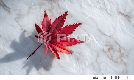 白い背景に映える、鮮やかな赤い紅葉 130101110