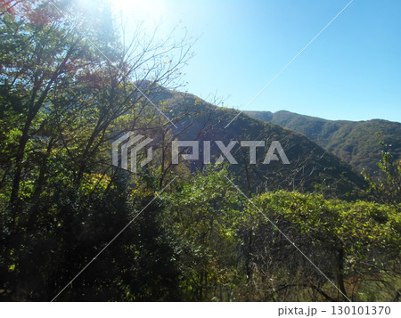 紅葉に染まる山 紅葉に染まる山 130101370