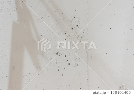小さな穴や細かいでこぼこのある粗い白い壁  130101400