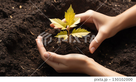 Hands nurturing small golden tree planted in...のイラスト素材 [130102000] - PIXTA
