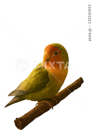 止まり木にとまるコザクラインコアンティーク調 130102653