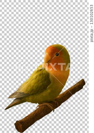 止まり木にとまるコザクラインコアンティーク調 130102653