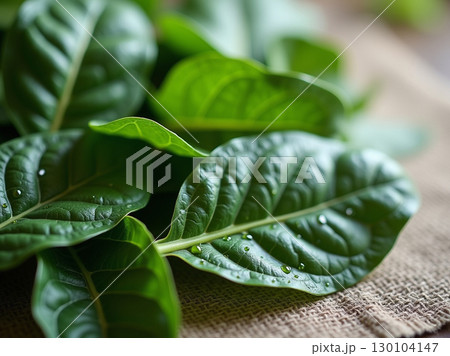 Fresh Close-Up Organic Spinach Leaf Details for Healthy Food Ingredient Fresh Close-Up Organic Spinach Leaf Details for Healthy Food Ingredient 130104147