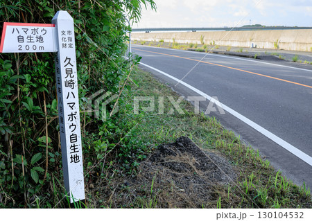 久見崎ハマボウ自生地　入口 130104532
