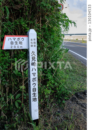 久見崎ハマボウ自生地　入口 130104533