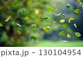 Floating autumn leaves flying on wind 130104954