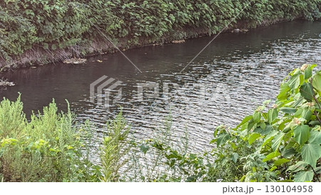 川 川 130104958