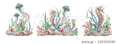 Clip art set with seahorses, jellyfish, corals, shells and bottles in ocean palette, hand-painted watercolor illustration for scrapbooking, invitations, digital design and summer marine decoration. Clip art set with seahorses, jellyfish, corals, shells and bottles in ocean palette, hand-painted watercolor illustration for scrapbooking, invitations, digital design and summer marine decoration. 130105040