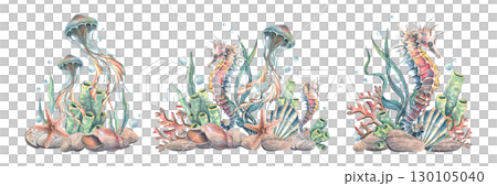 Clip art set with seahorses, jellyfish, corals, shells and bottles in ocean palette, hand-painted watercolor illustration for scrapbooking, invitations, digital design and summer marine decoration. Clip art set with seahorses, jellyfish, corals, shells and bottles in ocean palette, hand-painted watercolor illustration for scrapbooking, invitations, digital design and summer marine decoration. 130105040